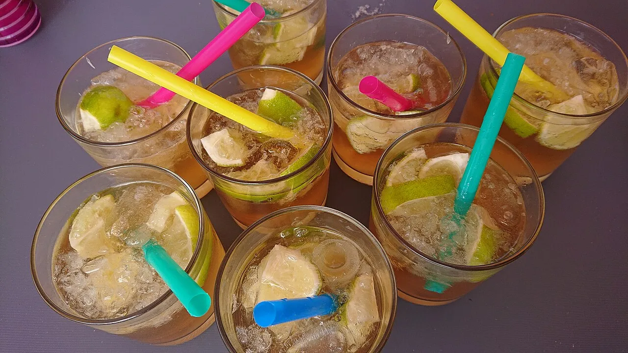 Ginger Ale Slush
