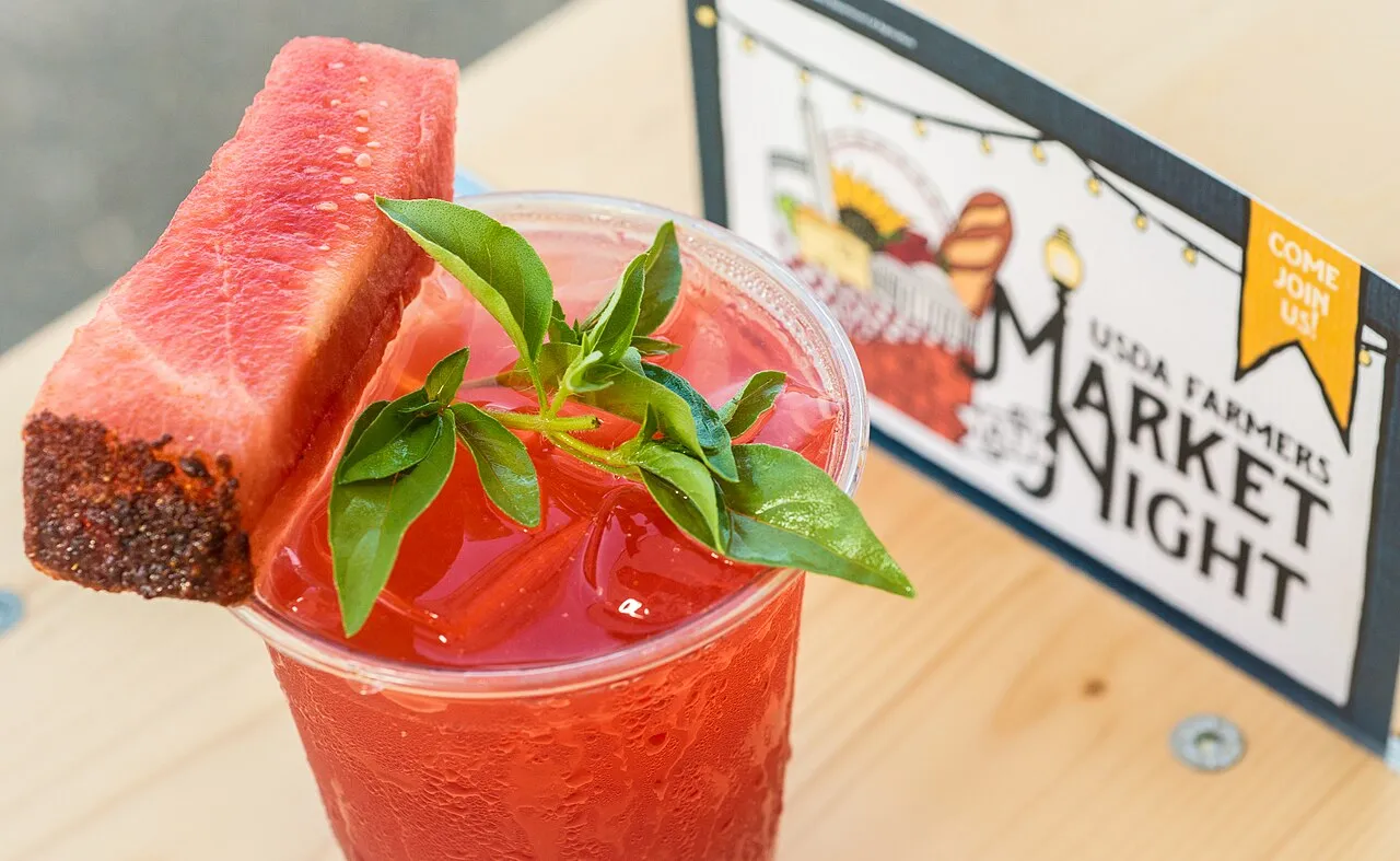 Wassermelone-Minze Slush